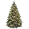 National Tree Company Pre-Lit Artificial Christmas Tree, Green, Carolina Pine, Clear Lights, Flocked with Pine Cones, Includes Stand, 9 feet
